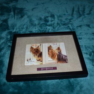 Hallmark Gorgeous 4 x 6 Photo Frame